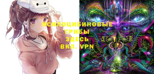 стафф Усинск