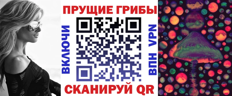 Псилоцибиновые грибы Cubensis  наркотики  Махачкала 